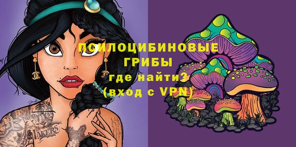 твердый Алексеевка